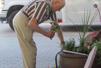 senior gardening