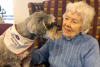 pet therapy for seniors