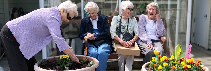 The Waterford Seniors gardening
