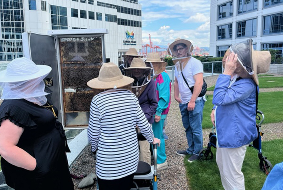 Seniors at The Waterfront's rooftop apiary