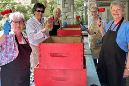 senior women painting bee hives red