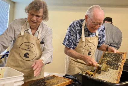 senior man and woman harvesting honey