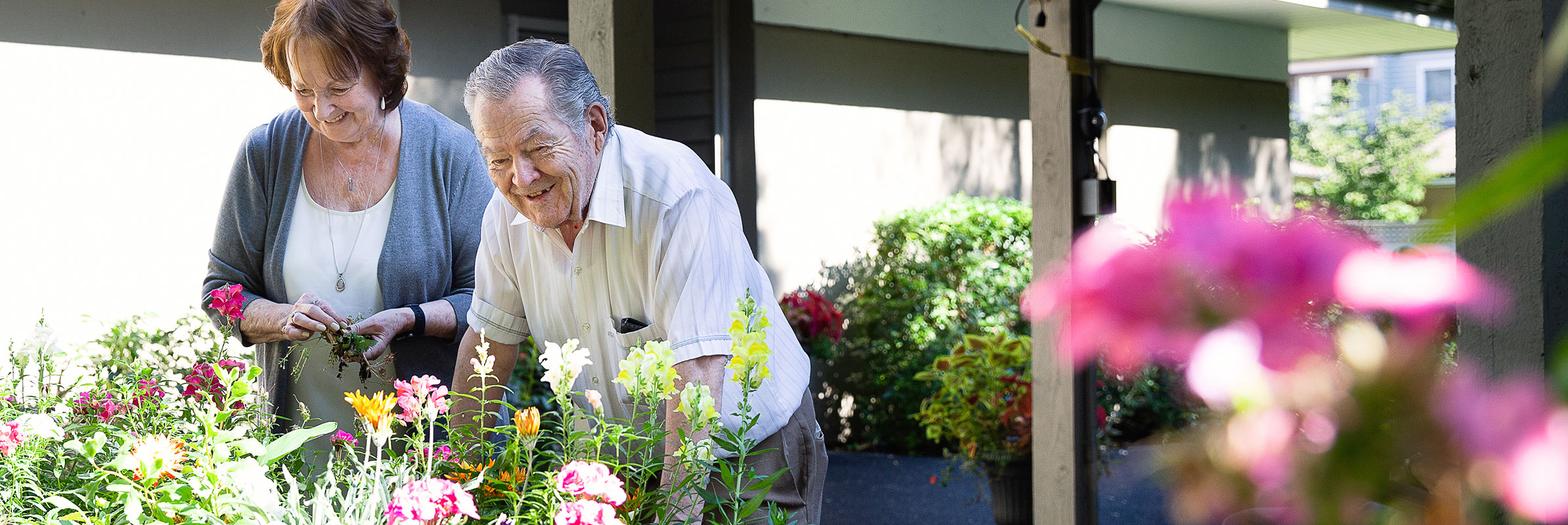 Senior Couple Gardening