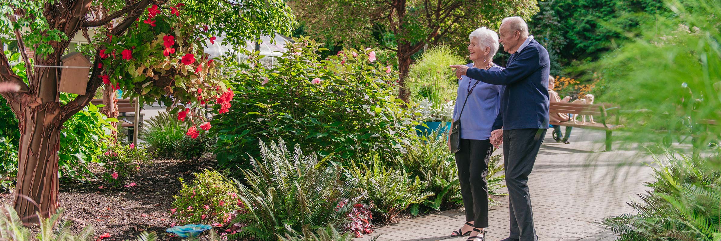 Senior Couple Admiring Garden