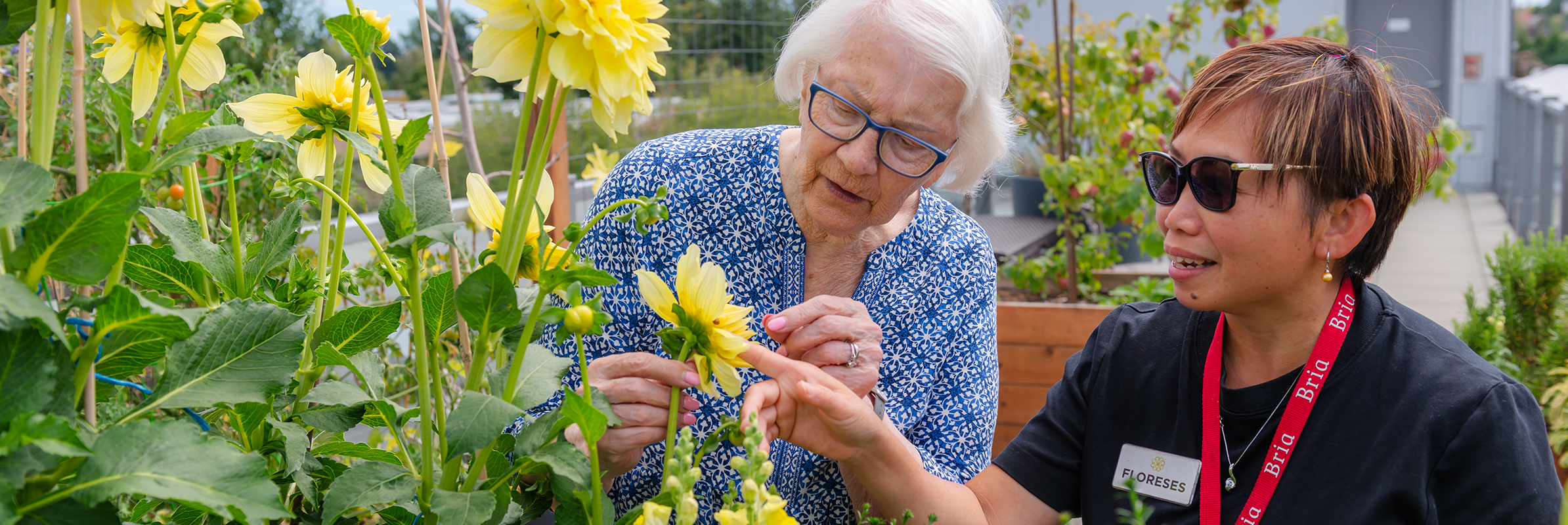 senior lady and support worker looking at flowers